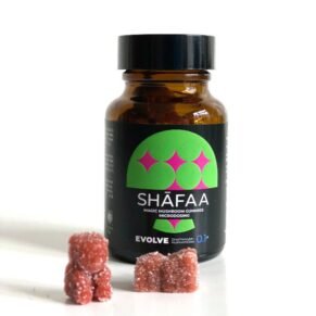 Shafaa Evolve Magic Mushroom Microdosing Gummy Bears | delta thc gummy bears