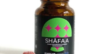 Shafaa Evolve Magic Mushroom Microdosing Gummy Bears | delta thc gummy bears